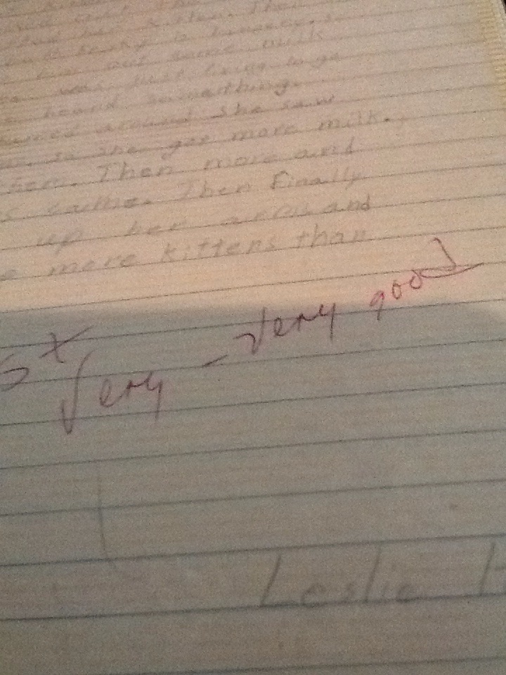 “Kathy and the Cats” or The Power of&nbsp;Praise