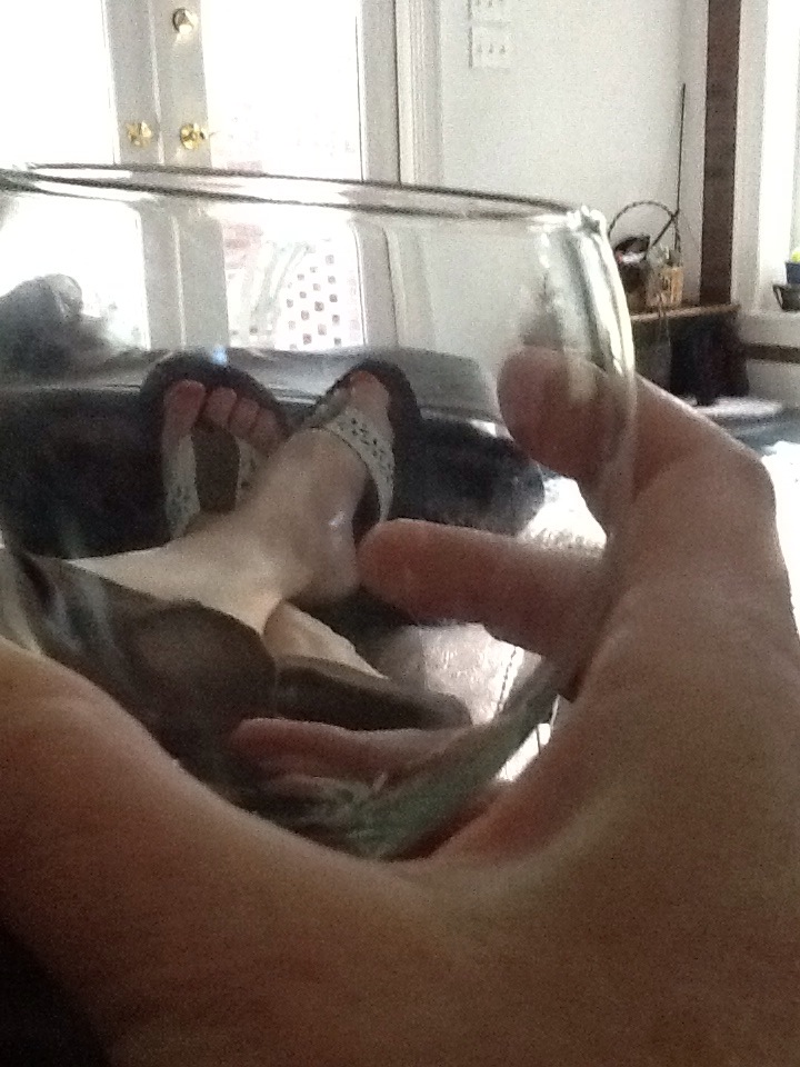 Studly’s Addiction