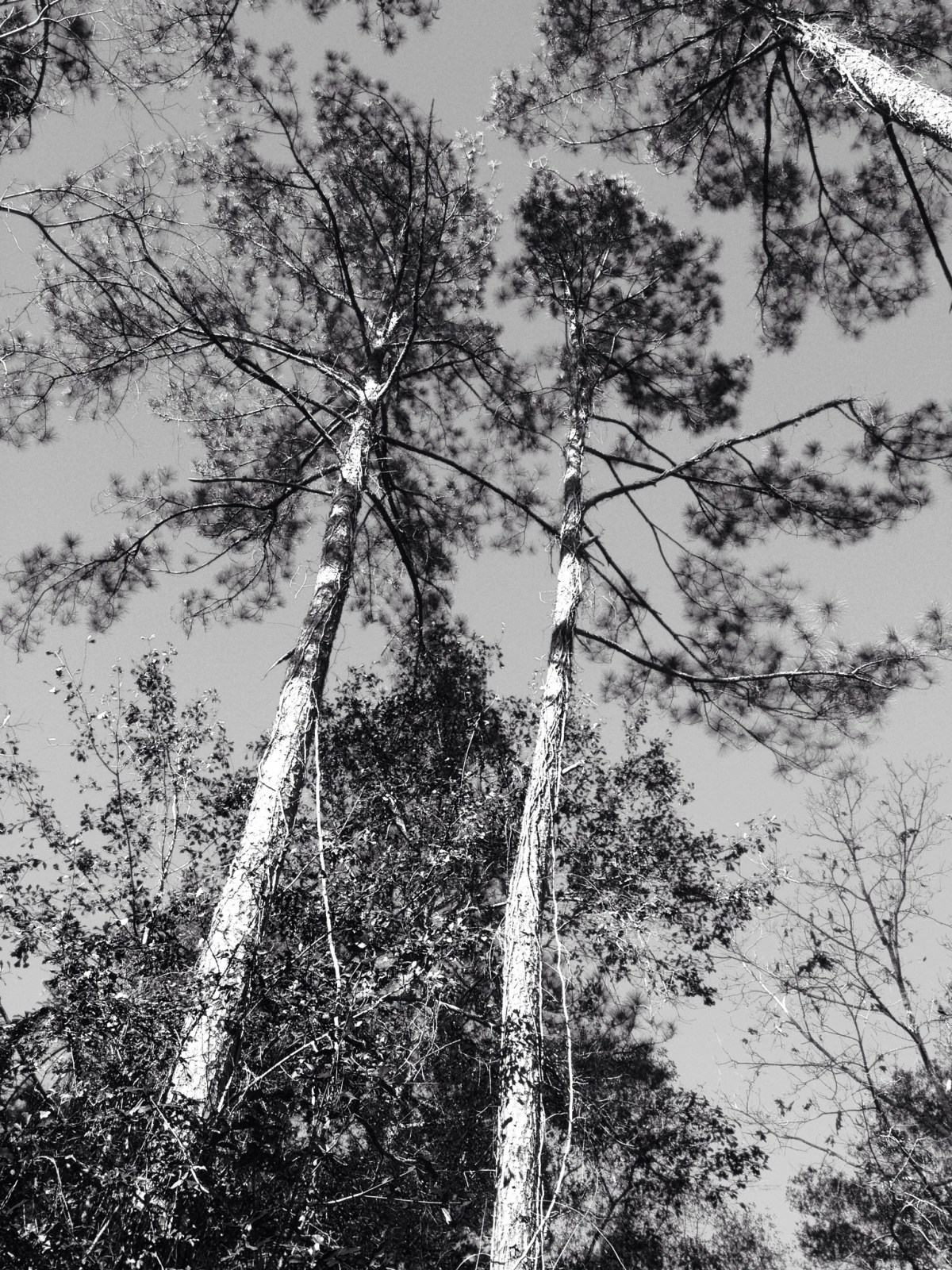 Sleeping in the&nbsp;Nude