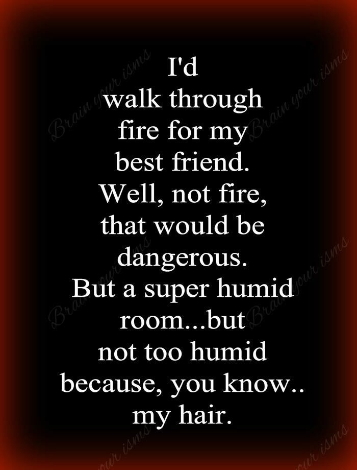 Flight of the Flip&nbsp;Flips