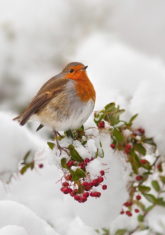 Waiting On Grandchildren