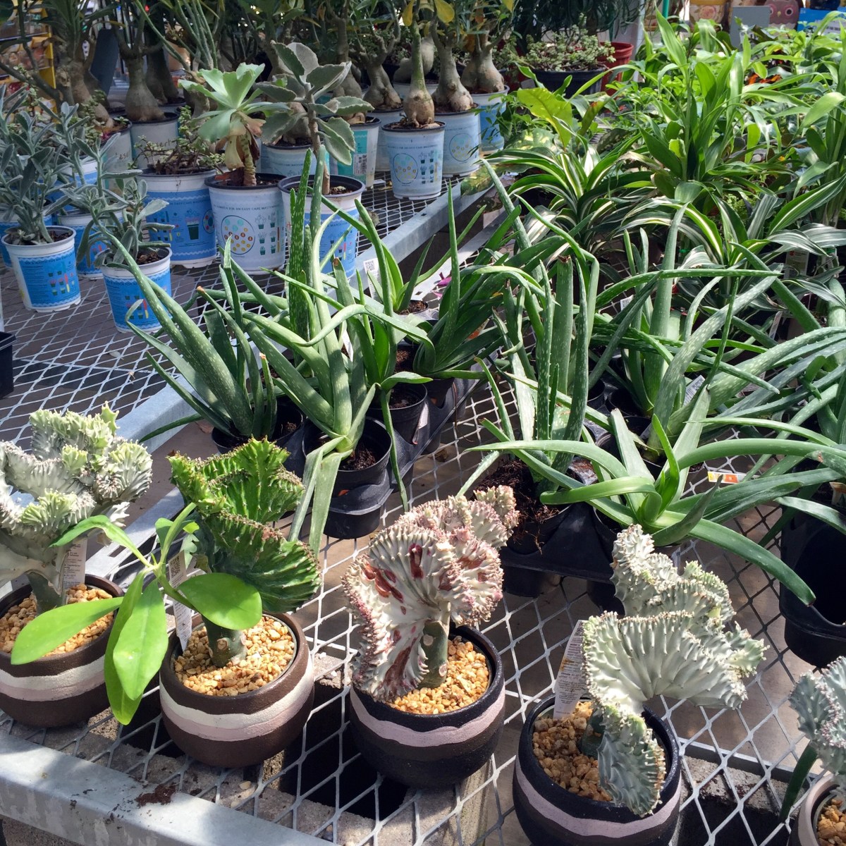 Home Sweet Home&nbsp;Depot