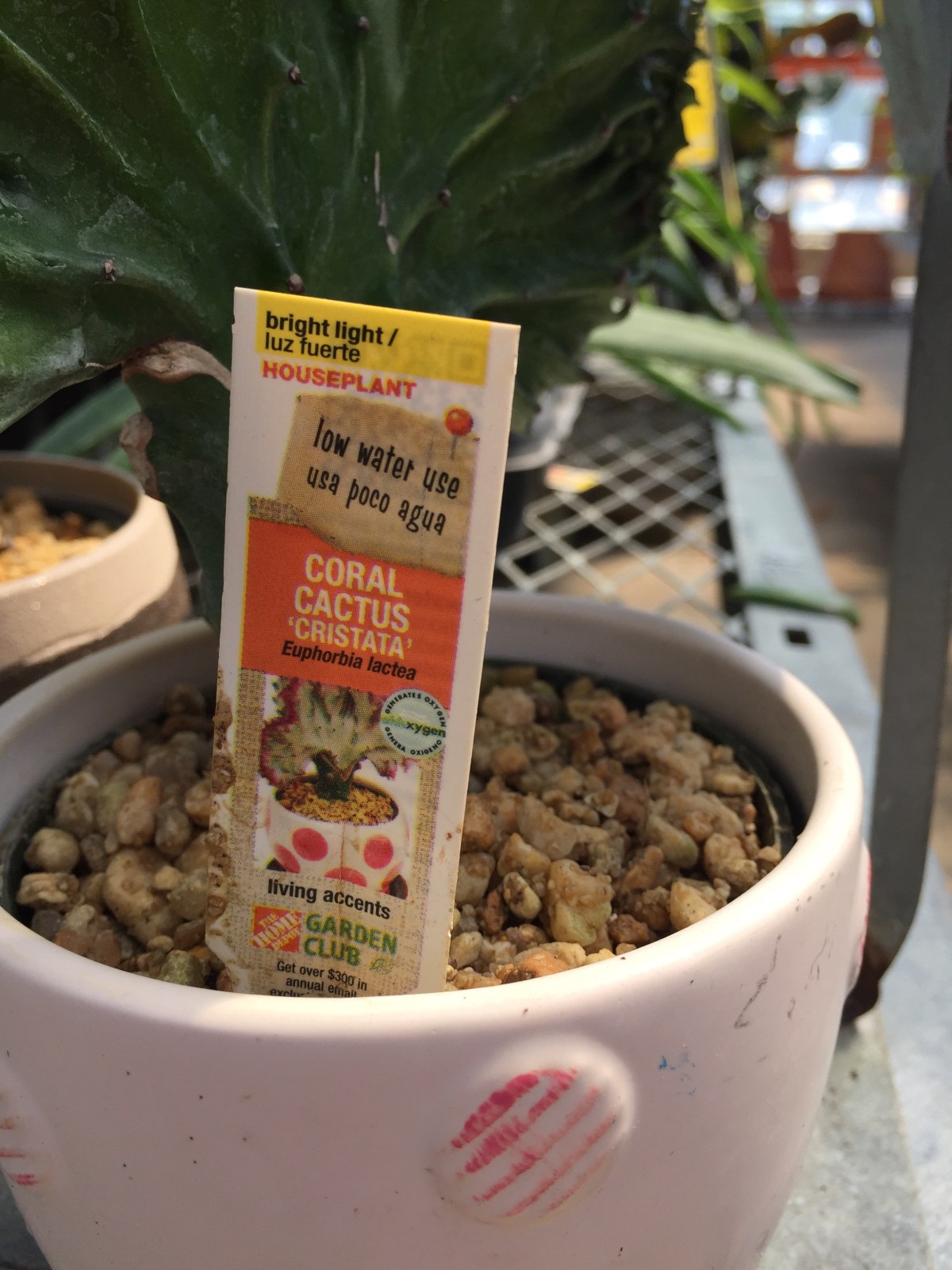 Snapshots #21 and&nbsp;#22