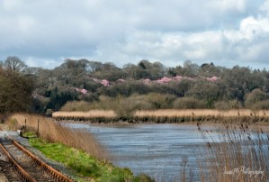 Waterford Greenway