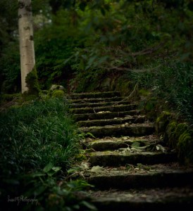 mount congreve gardens