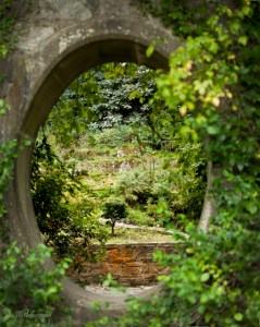 mount congreve gardens
