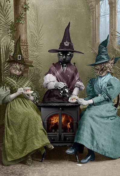 “The Witches Brew” by Adrian Higgins 
