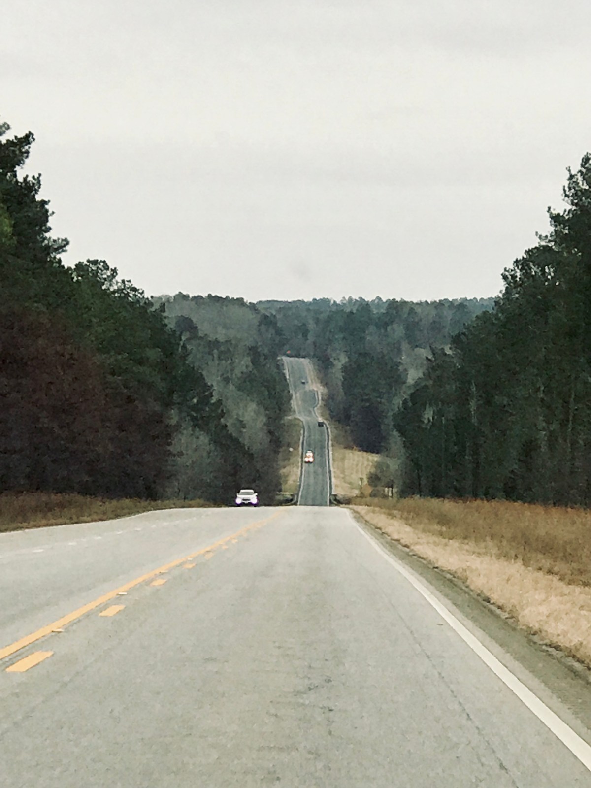 In Praise of&nbsp;Patience