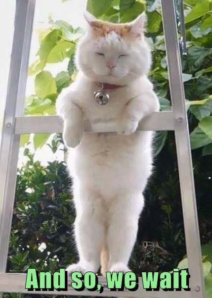 Too Hot to&nbsp;Handle?